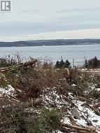 Lot 1 Silas Morgan Estates  Conception Bay South, NL A1X 6R8