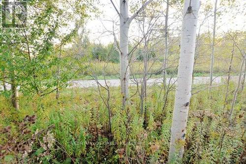 150 Winters Way, Shelburne, ON - Outdoor