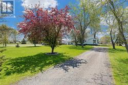 239 BECKEN CRESCENT  Welland (Cooks Mills), ON L3B 5N4