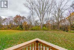 View from the deck - 