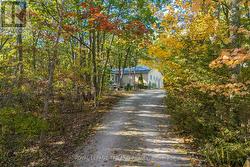 Total shelter from the roadside - 