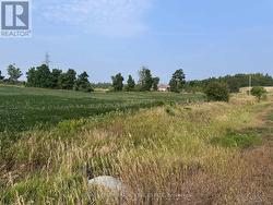 LOT B DOURO SECOND LINE  Douro-Dummer, ON K0L 2H0