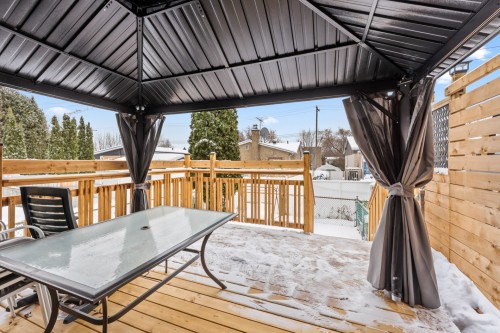 Balcon - 1125 Tsse Jacques-Léonard, Montréal (Rivière-Des-Prairies/Pointe-Aux-Trembles), QC 