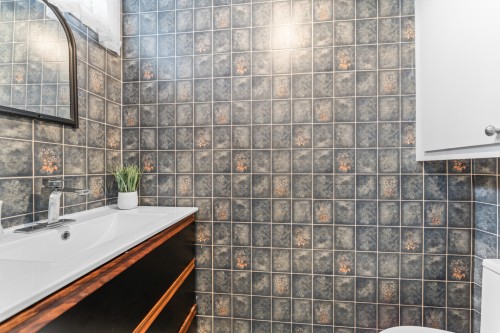 Salle d'eau - 1125 Tsse Jacques-Léonard, Montréal (Rivière-Des-Prairies/Pointe-Aux-Trembles), QC 