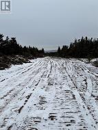Lot 3 Silas Morgan Estates  Conception Bay South, NL A1X 6R8