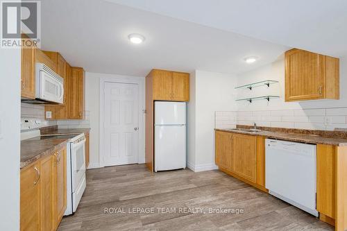 Lower Level Kitchen - 517 Donald B. Munro Drive, Ottawa, ON - Indoor Photo Showing Kitchen With Double Sink