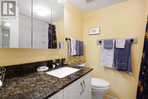 1137 Ambleside Drive, Ottawa, ON - Indoor Photo Showing Bathroom
