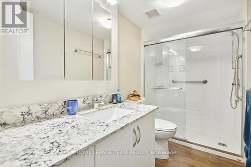 1137 Ambleside Drive, Ottawa, ON - Indoor Photo Showing Bathroom