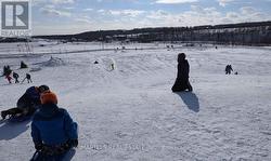 Outdoor Skating/Ring-Sliding hills - 