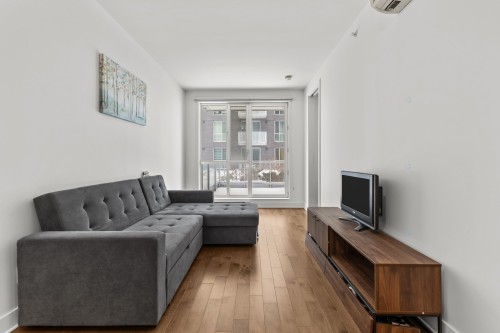 Salon - 403-5175 Av. De Courtrai, Montréal (Côte-Des-Neiges/Notre-Dame-De-Grâce), QC - Indoor Photo Showing Living Room