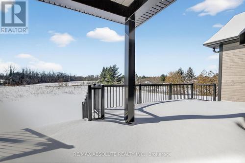 composite surface - 989 William Mooney Road, Ottawa, ON - Outdoor