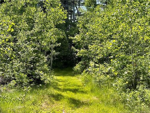 - Route 11, Saint Margarets, NB 