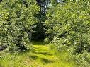 - Route 11, Saint Margarets, NB 