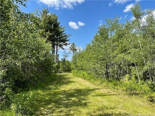 - Route 11, Saint Margarets, NB 