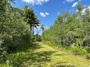 - Route 11, Saint Margarets, NB 