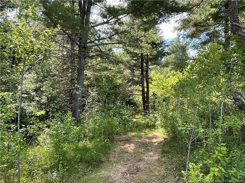 - Route 11, Saint Margarets, NB 
