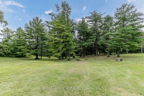 16365 Bathurst Street, Newmarket, ON - Outdoor