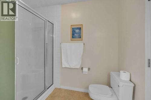550 Copperfield Boulevard Se, Calgary, AB - Indoor Photo Showing Bathroom