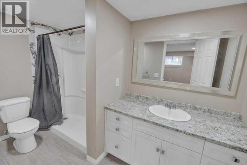 550 Copperfield Boulevard Se, Calgary, AB - Indoor Photo Showing Bathroom