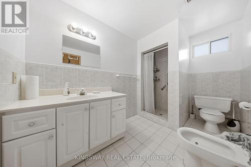 Basement Shower stall/sink/toilet/bidet - 163 Floradale Drive, Mississauga, ON - Indoor Photo Showing Bathroom