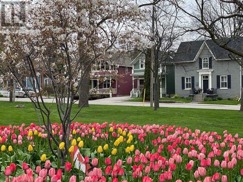 455 Nelson Avenue, Burlington, ON - Outdoor