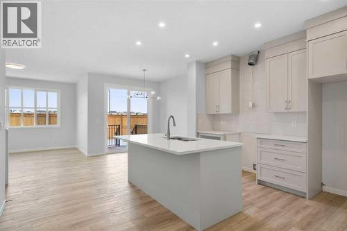 659 Buffaloberry Manor Se, Calgary, AB - Indoor Photo Showing Kitchen With Upgraded Kitchen