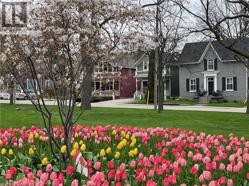 455 Nelson Avenue, Burlington, ON - Outdoor