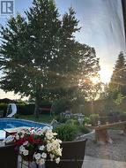 Back yard in the summer - 