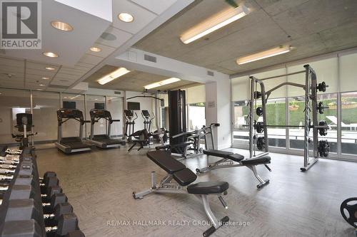 Dalton Brown Gym - 1502 - 300 Lisgar Street, Ottawa, ON - Indoor Photo Showing Gym Room