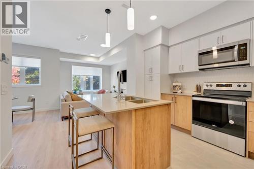35 Mill Street, Kitchener, ON - Indoor Photo Showing Kitchen With Double Sink