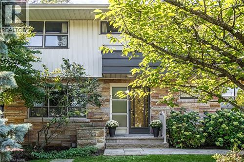 6 Freeland Court, Hamilton, ON - Outdoor