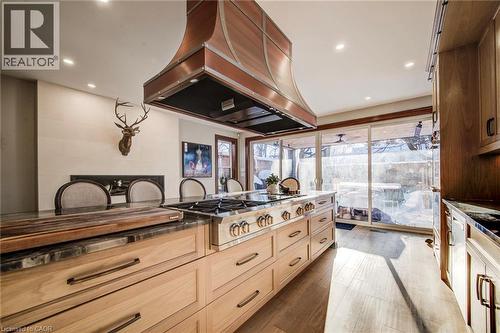 107 Earl Street, Kitchener, ON - Indoor Photo Showing Kitchen With Upgraded Kitchen