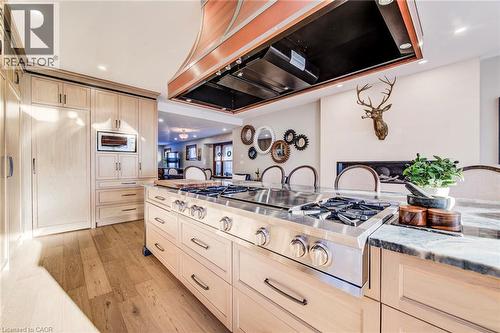 107 Earl Street, Kitchener, ON - Indoor Photo Showing Kitchen