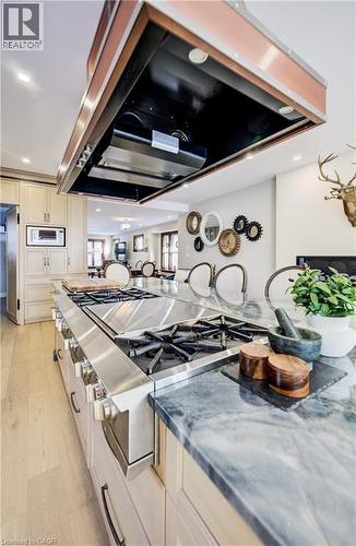 107 Earl Street, Kitchener, ON - Indoor Photo Showing Kitchen