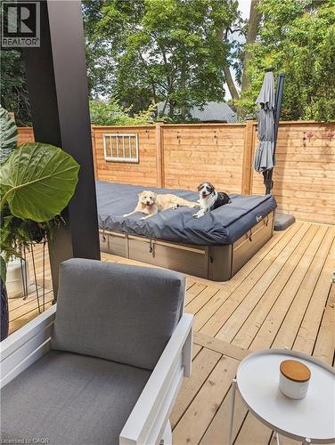 107 Earl Street, Kitchener, ON - Outdoor With Deck Patio Veranda With Exterior