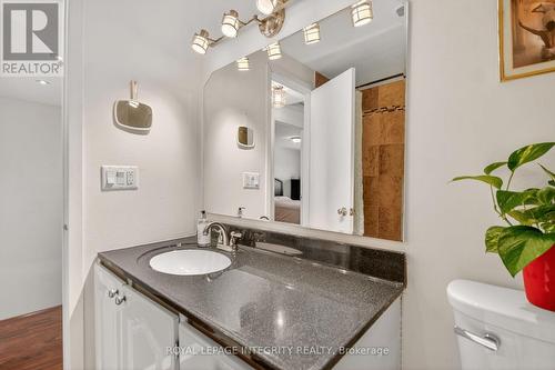 13 - 2415 Southvale Crescent, Ottawa, ON - Indoor Photo Showing Bathroom