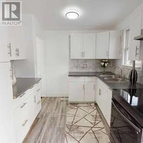 259 Ross Avenue, Kitchener, ON - Indoor Photo Showing Kitchen With Double Sink