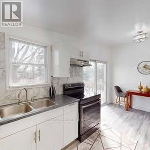 259 Ross Avenue, Kitchener, ON - Indoor Photo Showing Kitchen With Double Sink