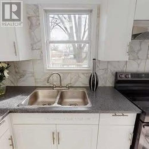 259 Ross Avenue, Kitchener, ON - Indoor Photo Showing Kitchen With Double Sink