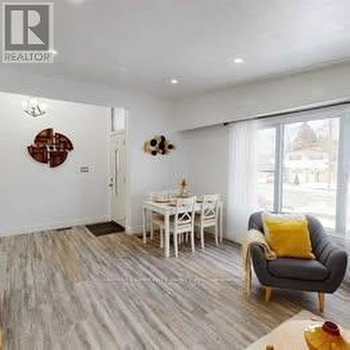 259 Ross Avenue, Kitchener, ON - Indoor Photo Showing Living Room