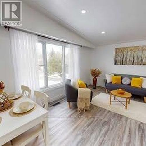 259 Ross Avenue, Kitchener, ON - Indoor Photo Showing Living Room