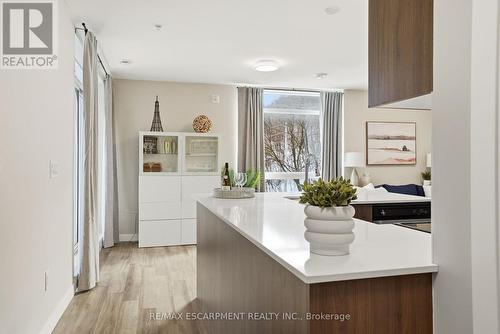 308 - 455 Charlton Avenue, Hamilton, ON - Indoor