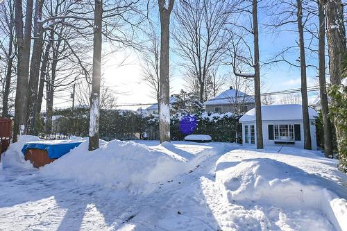 Cour - 8275 Rue Du Labour, Mirabel, QC - Outdoor