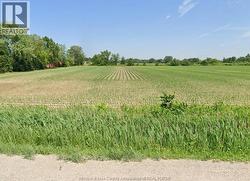 2590 MANNING ROAD  Lakeshore, ON N8N 2L9