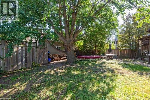 View of fenced backyard - 41 Paradise Road S, Hamilton, ON - Outdoor