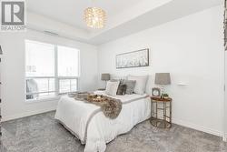 Spacious 2nd Bedroom - 