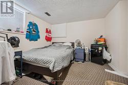 Lower level bedroom - 