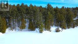 2062B Highway 64 Alban, ON P0M 1A0