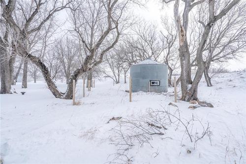 135 Third Avenue, Letellier, MB - Outdoor