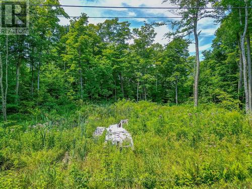 Property - 17 Cornflower Road, Mcdougall, ON 